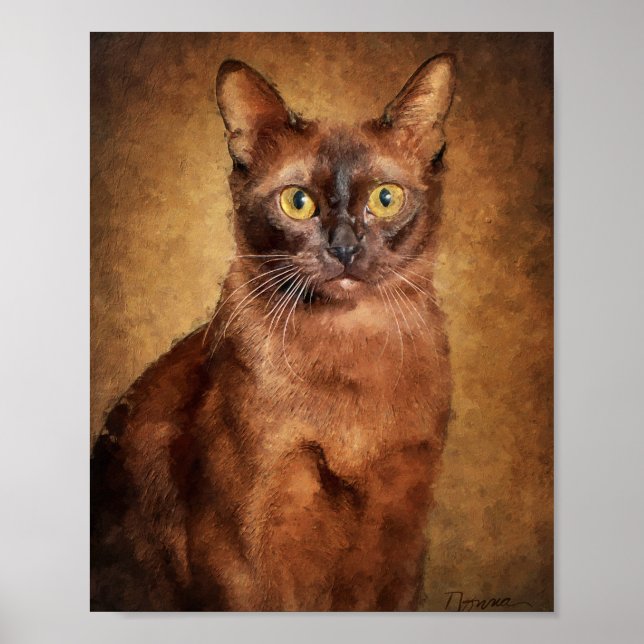 Poster Gato Burmês Marrom (Frente)