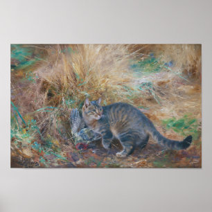 Poster Gato caçando uma tartaruga, Bruno Liljefors