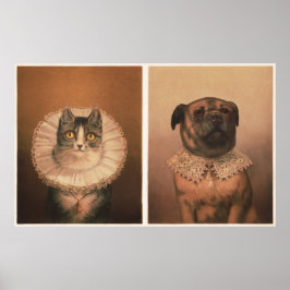 Poster Gato & Cachorro