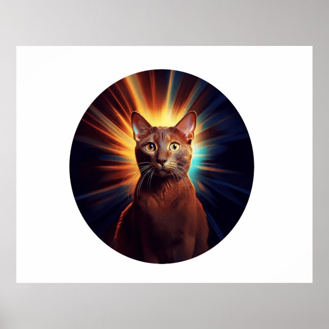 Poster Gato Castanho De Havana (Raça Com Fundo De Estrelo (Frente)