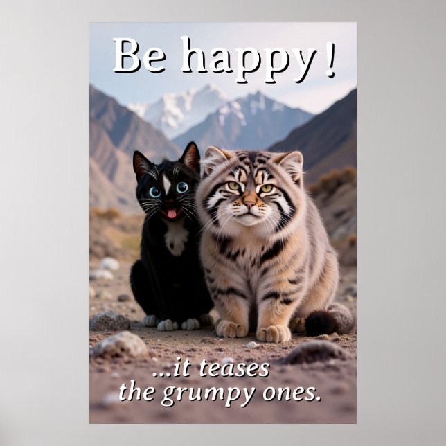 Poster Gato Cheerful vs. Gato Grumpy - Humor (Frente)