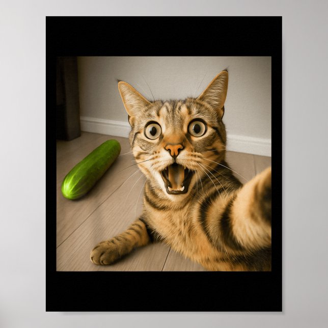 Poster Gato Chocado Engraçado Selfie Com Design de Memóri (Frente)