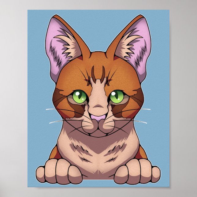 Poster Gato Cinto (Frente)
