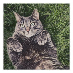 Pôster gato cinza deitado na grama