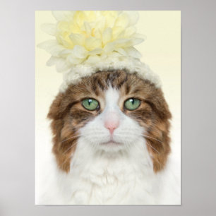 Pôster Gato com chapéu da flor