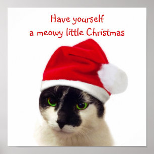 Pôster Gato com chapéu do papai noel