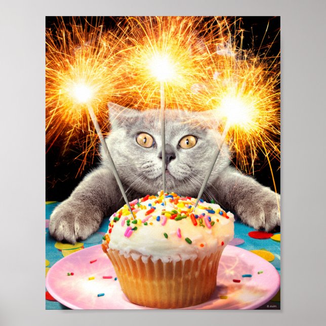 Poster Gato com Cupcake Sparkler (Frente)