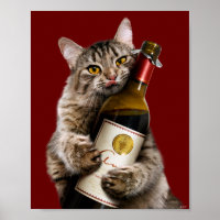 Gato Com Garrafa De Vinho