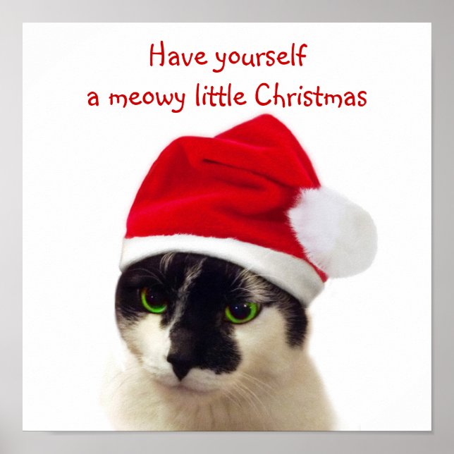 Pôster Gato com Papai noel (Frente)