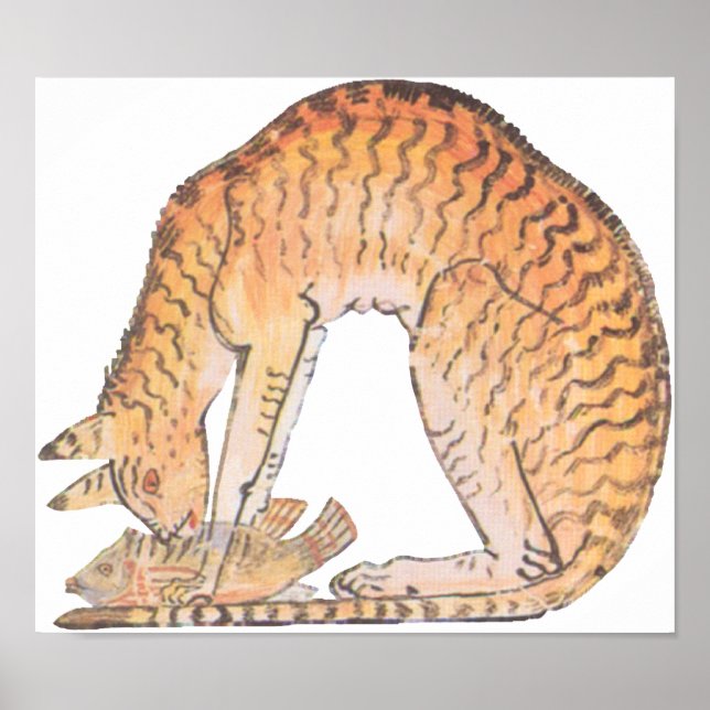 Pôster gato com peixe (Frente)