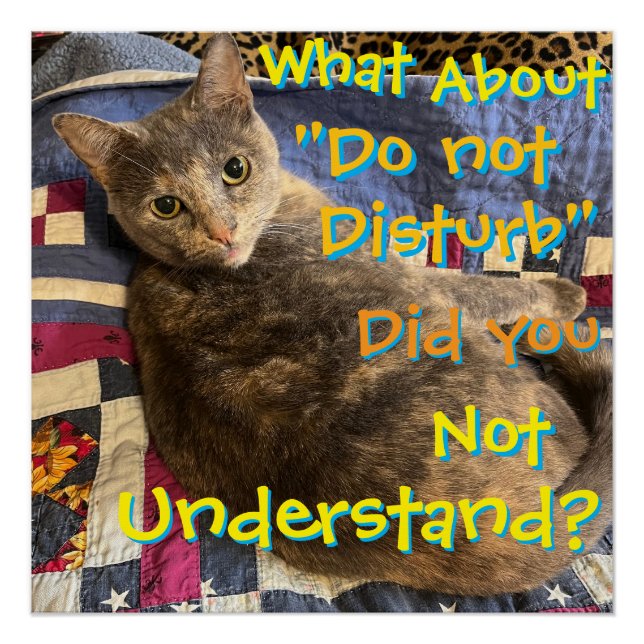 Pôster Gato com poster de atitude (Frente)