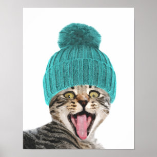 Pôster Gato com retrato de boné de animais bonitos