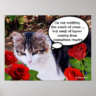 PÔSTER GATO COM ROSAS VERMELHAS