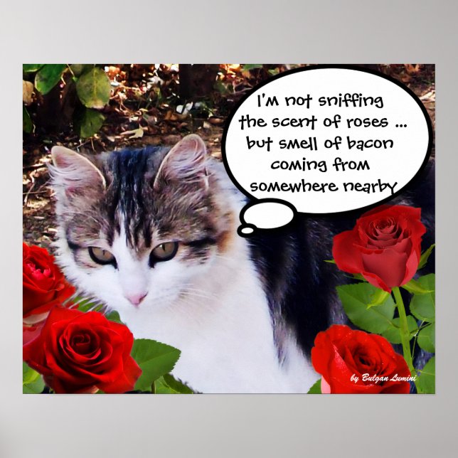 PÔSTER GATO COM ROSAS VERMELHAS (Frente)