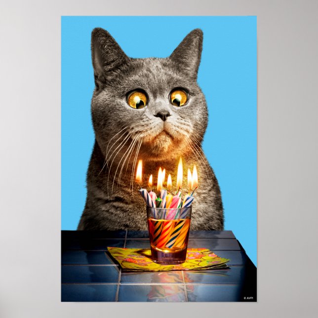 Poster Gato Com Vidro De Aniversário (Frente)