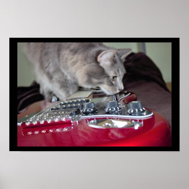 Pôster Gato com Violão Elétrico Vermelho (Frente)