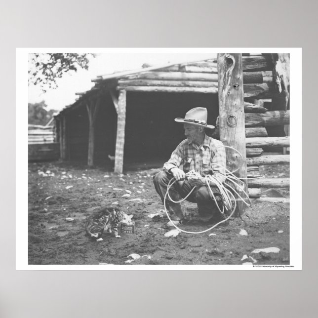 Pôster Gato comendo de uma lata de café. (Frente)