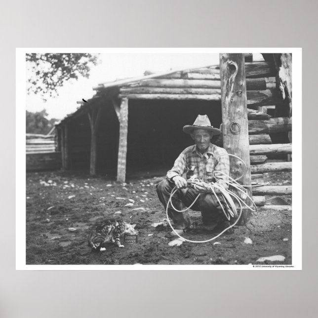 Pôster Gato comendo de uma lata de café (Frente)