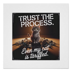 Pôster Gato Confia no Processo Humor de Escritório Meme