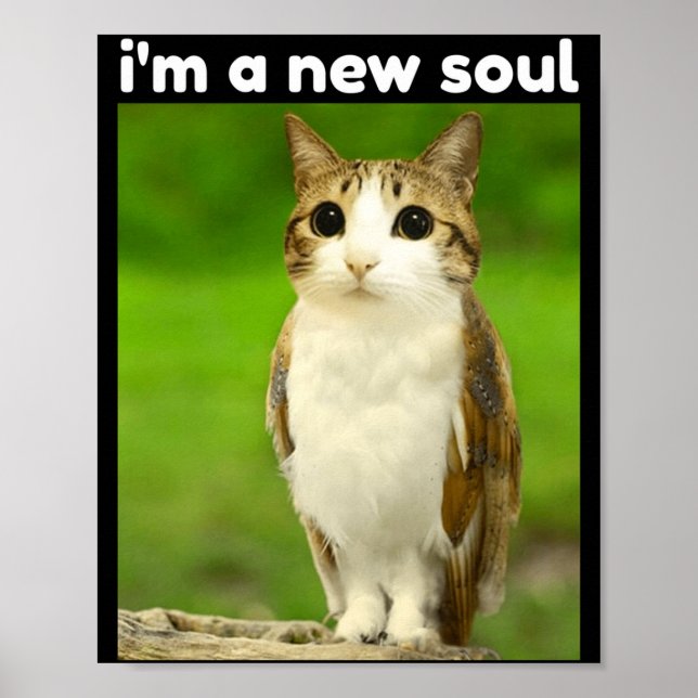 Poster Gato Coruja Meme Meowl Brainrot Engraçado (Frente)
