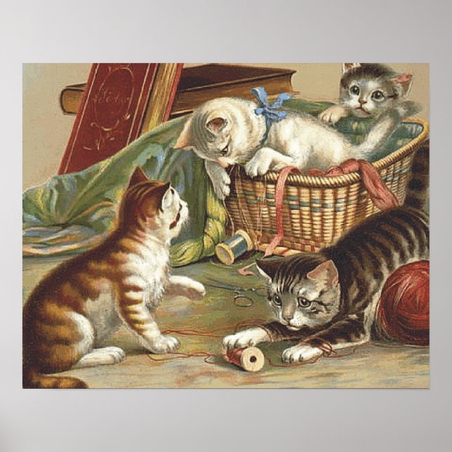 Pôster Gato Curioso da TTI (Frente)