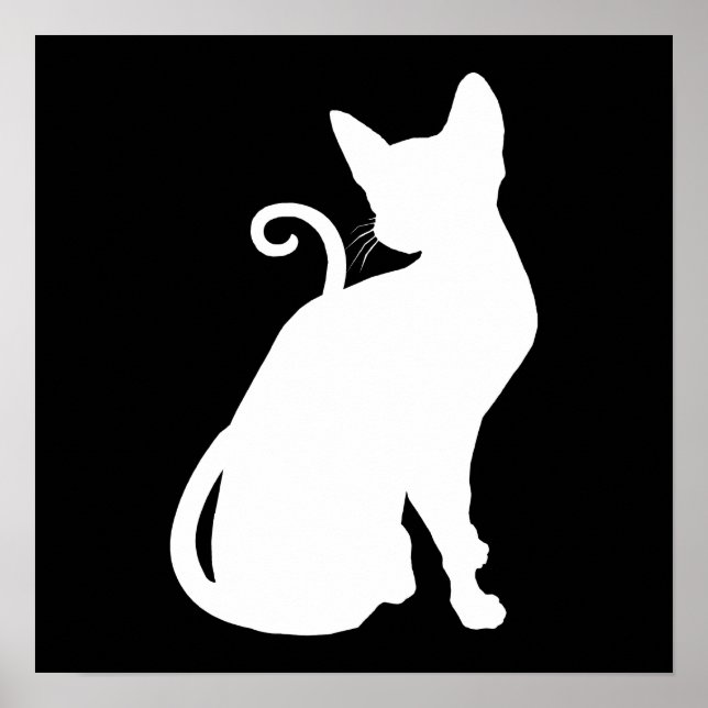 Pôster Gato da Casa Branca (Frente)