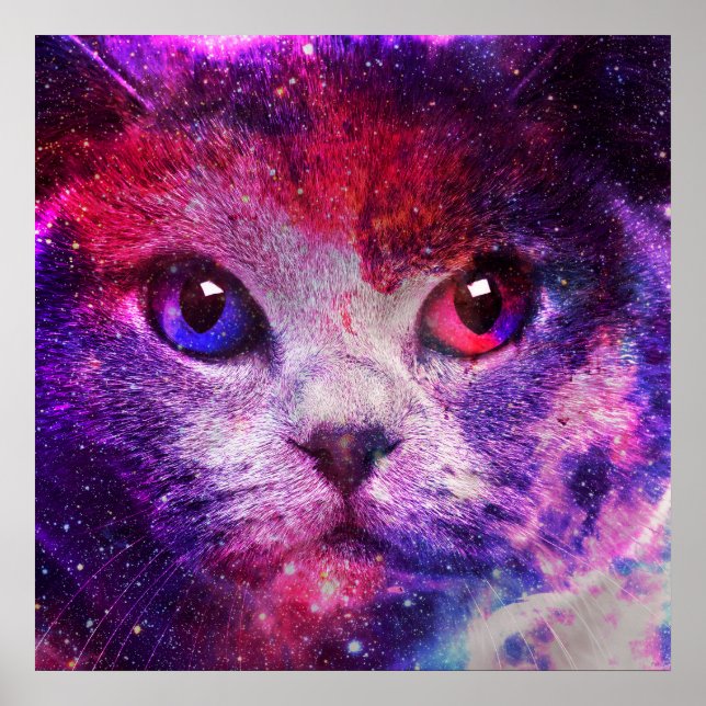 Poster Gato da Galáxia Roxa (Frente)