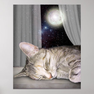 Pôster Gato da lua