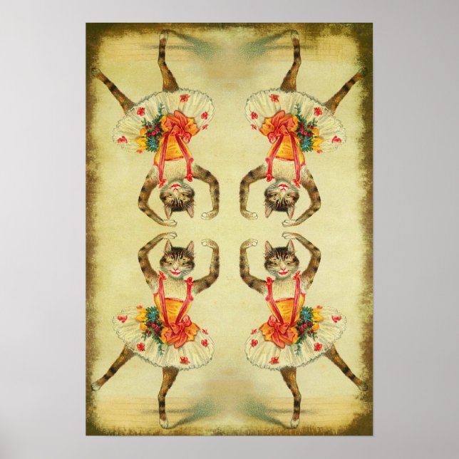 Pôster Gato Dançante (Frente)