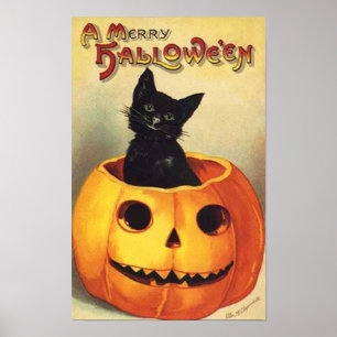 Poster Gato De Abóbora