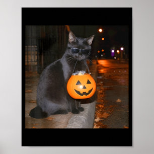 Poster Gato de abóbora engraçado meme truque ou tratament