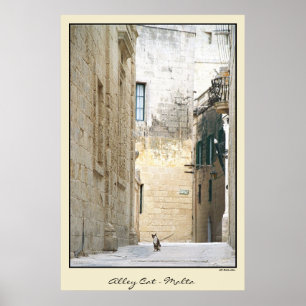 Pôster Gato de beco - Malta
