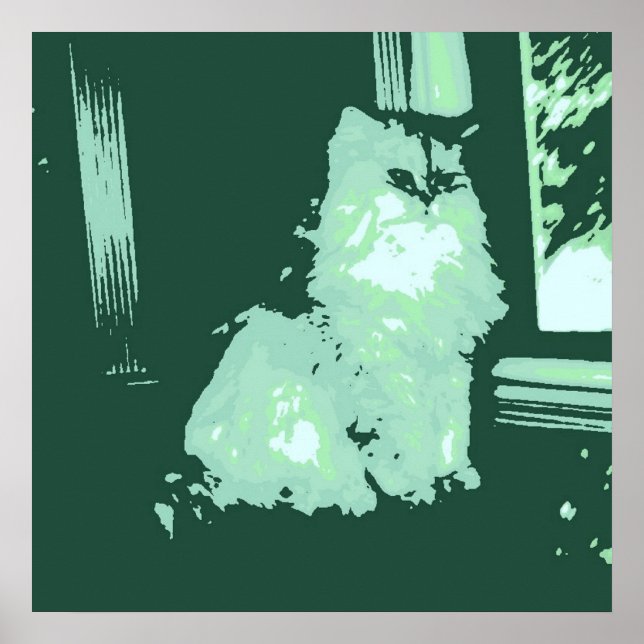 Poster Gato de cabelos longos/Pop Art (Frente)