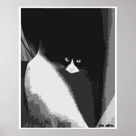 Poster Gato de Closet