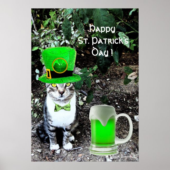 Poster GATO DE Dia de São Patrício COM CERVEJA VERDE IRLA (Frente)