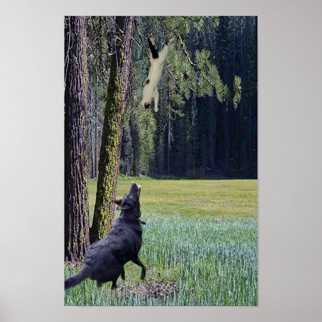 POSTER GATO DE FALHA (Frente)