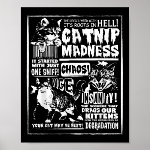 Poster Gato De Gato De Gato De Gato De Gato De Gato De Ga