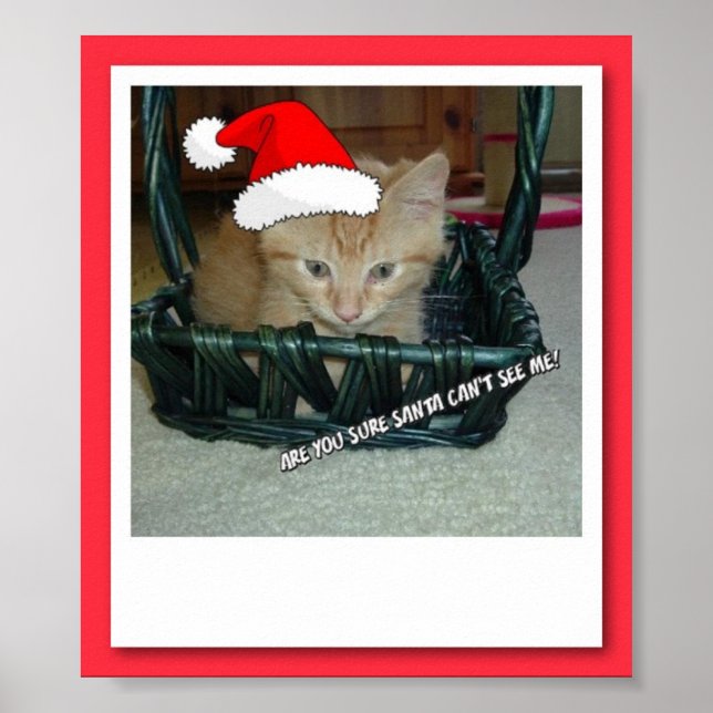 Poster Gato de Gato de Gato de Tabby de Laranja Natal (Frente)