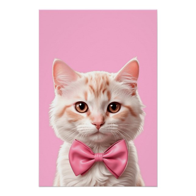 Pôster Gato de Gato - macho (Frente)