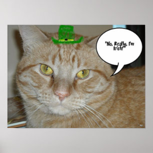 Pôster Gato de gato malhado alaranjado