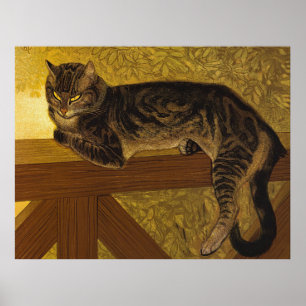 Pôster Gato de gato malhado de Steinlen