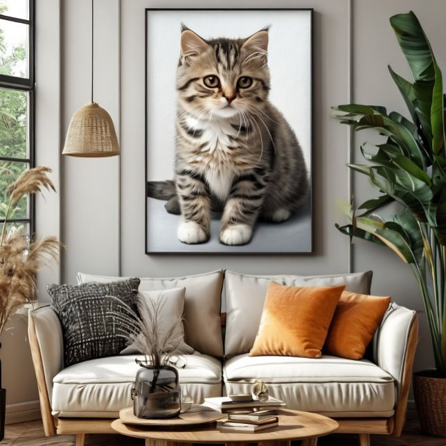 Poster Gato de Gato Perdido no Tempo (Criador carregado)