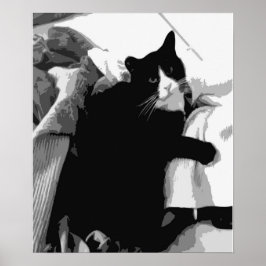 Poster Gato de lavanderia