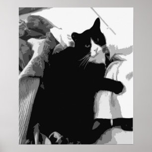 Poster Gato de lavanderia