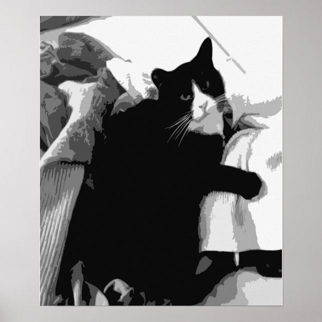 Poster Gato de lavanderia (Frente)