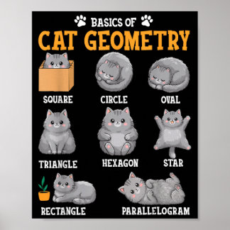 Poster Gato De Matemática Engraçado Professor De Matemáti