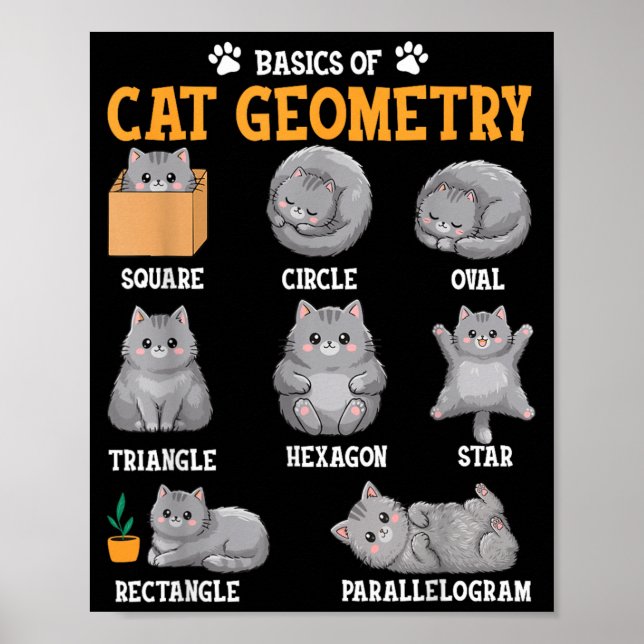 Poster Gato De Matemática Engraçado Professor De Matemáti (Frente)