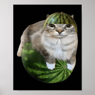 Poster Gato de Melancia Meme Divertido