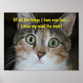 Pôster Gato de Mente Ausente