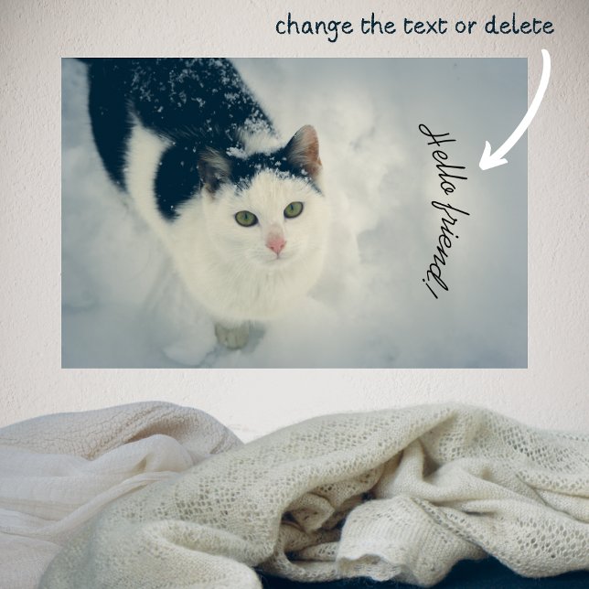 Poster Gato de neve (Criador carregado)